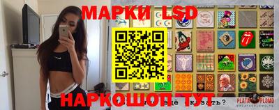 крисы Ирбит