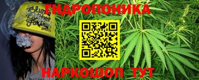 крисы Ирбит
