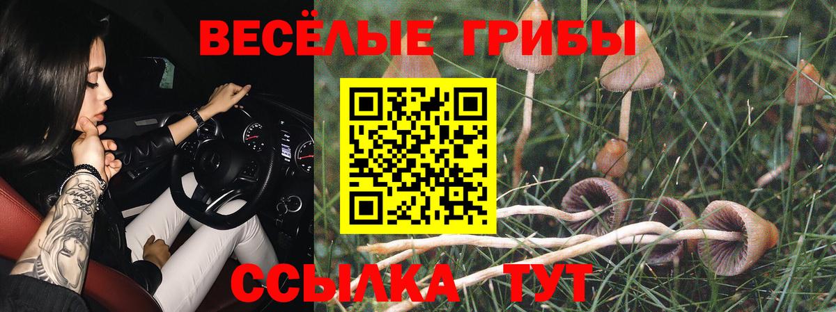 Псилоцибиновые грибы ЛСД  Вход с VPN  Сыктывкар 